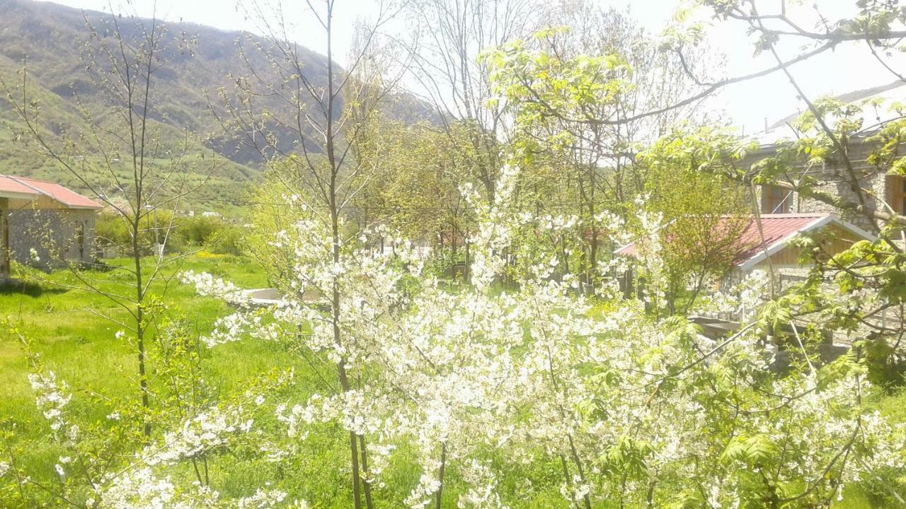 Karvansaray Lahic Hotell Exteriör bild